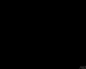 AustinWhite