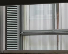 Window Flashing