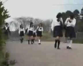 Se Cojen Ala maestra Japonesa