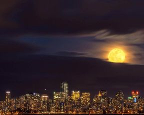 citymoon