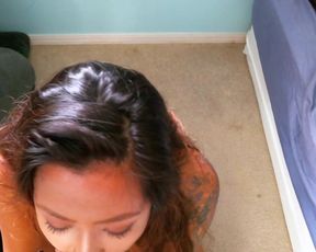pov bj