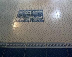 SummerFlame cam recording 2020-08-30 11-15-34 449