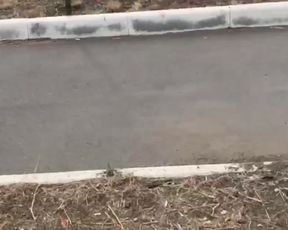 Kisa-Gav cam show 2020-09-08 00-57-13 299